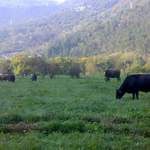 https://agriturismo-biobio.it-lombardy.com